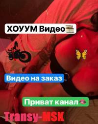   Dina NEW   