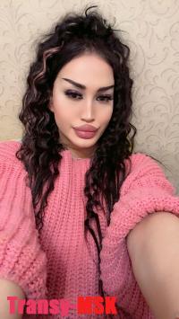    @Elya_trans_bot   