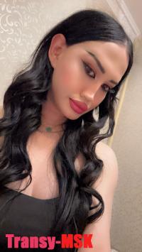    @Elya_trans_bot   